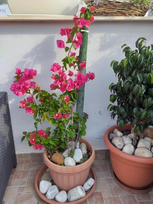 B&B La Maison Del Borgo Antico image 28